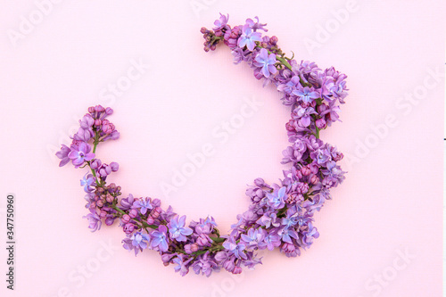 composition of lilac flowers on a pink background. Floral spring background. Flat lay, space for text. Valentine's day, mother's day, womens day concept.