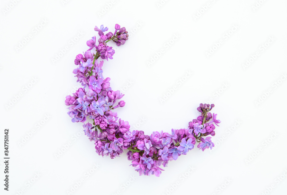 Floral spring background. Arrangement of lilac flowers on a white background. Flat lay, space for text. Valentine's day, mother's day, womens day concept.