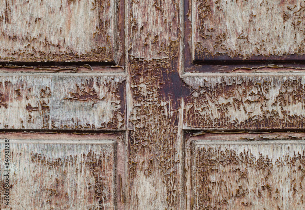 Wooden boards. Tree structure. Old peeling paint. Wooden fence, door.