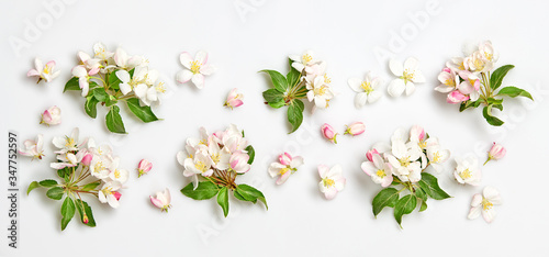 Blossom spring pattern on white background. Beautiful pink bloom flowering wallpaper, top view. Creative fashionable trendy flat lay. Springtime blooming concept, banner © evgenij918