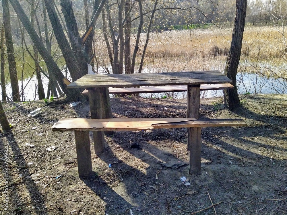Wooden benches and table in forest at spring