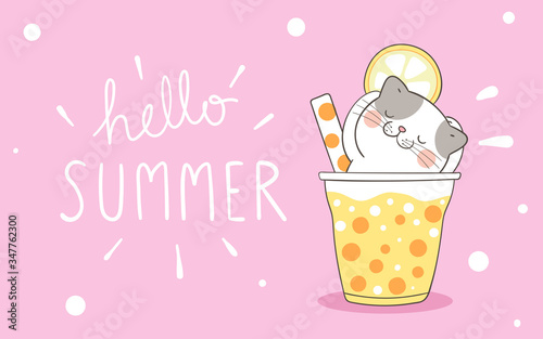 Draw banner cute cat in smoothie and juice on pink for summer.