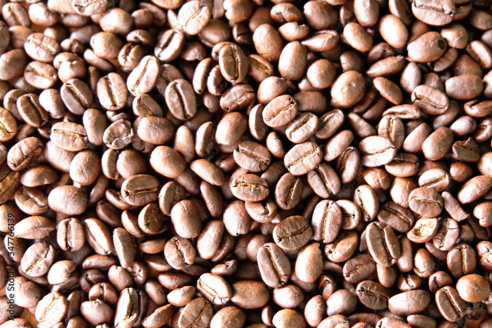 organic coffee bean backgound texture organic coffee bean backgound texture