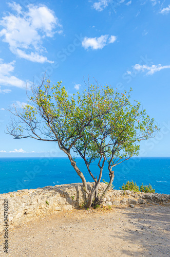 Gaeta, Italy. View from the path that leads to Monte Orlando. Sea, Mediterranean vegetation.
