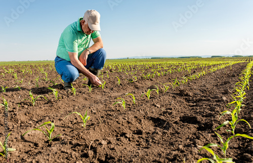 Portrait of smiling senior farmer standing in corn field examining crop.