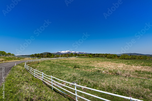 日本 残雪の栗駒山と高原の牧場