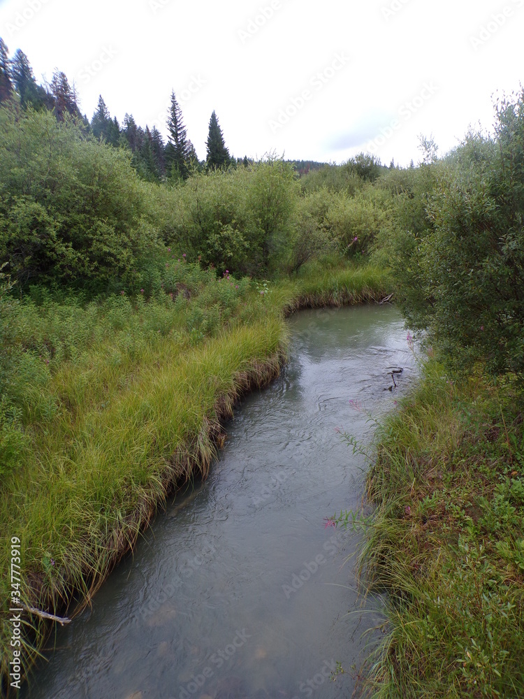 Obraz premium KODAK Digital Still Camera