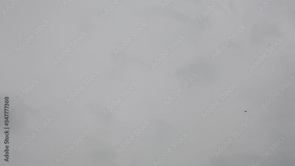 The kite floats high in the sky in grey spring time. depression concept The kite floats high in the sky in grey spring time. depression concept