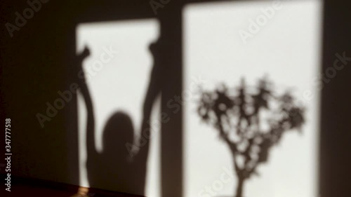 Shadow of happy woman jumpung and gesturing gladly is seen from the window with houseplant photo