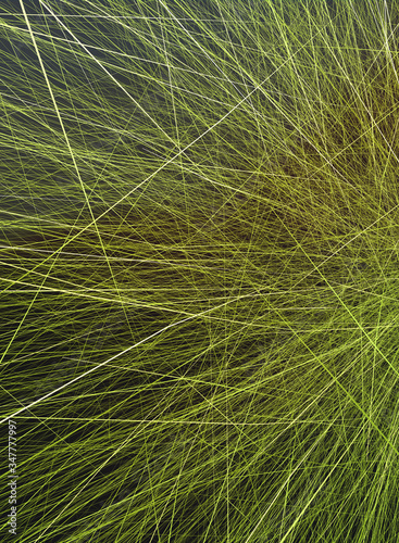 psyco line background