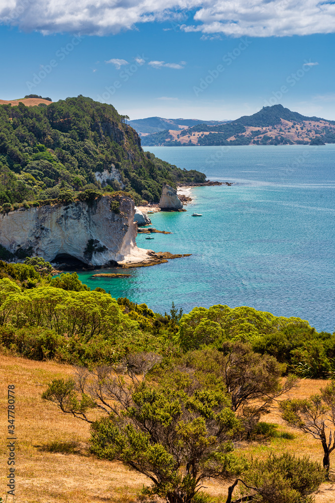Fototapeta premium View of Gemstone Bay while walking to Cathedral Cove (can be seen in the distance) in New Zealand
