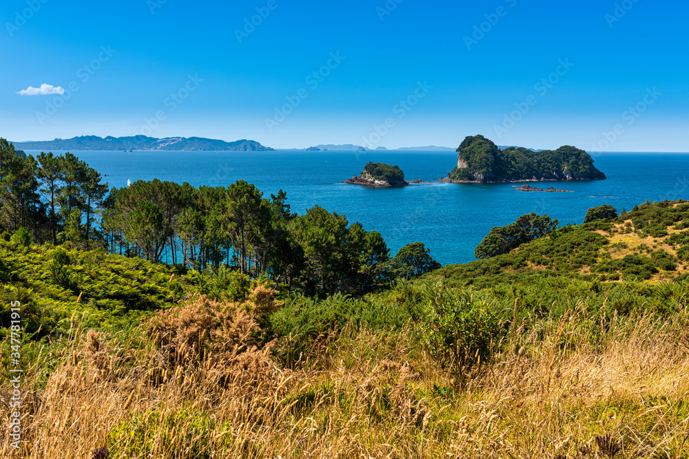 View of Gemstone Bay while walking to Cathedral Cove in New Zealand