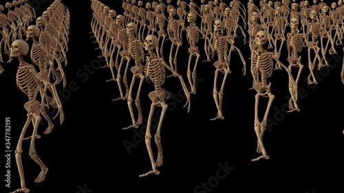 dancing skeleton skeletals, animation, transparent background, loop
