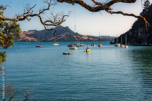Mercury Bay in Whitianga on the Coromandel Peninsula in New Zealand