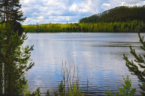 Fototapeta Naklejka Na Ścianę i Meble -  Panorama an einem See in Schweden