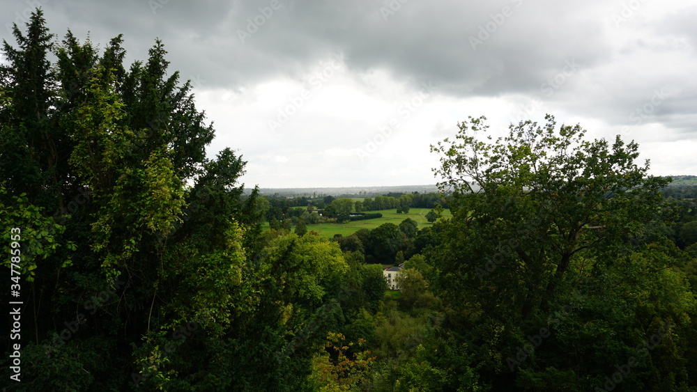 clouds over the forest