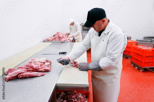 A worker in meat factory, chopped a fresh beef meat in pieces on work table, industry of processing. photo