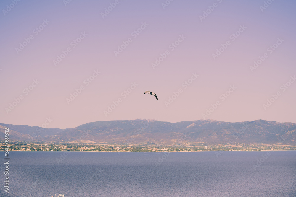 Obraz premium Seagull flying in the sky over the sea Sella del diavolo Cagliari. Poetto in background