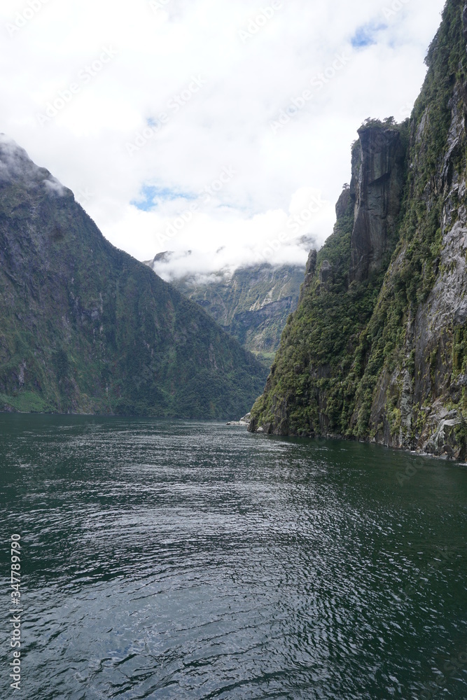 Fototapeta premium Sound in Fiordland National Park