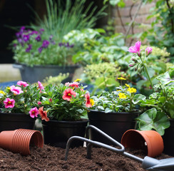 Outdoor gardening planting flowers in the spring garden. With pots and gardening tools at wooden table with soil background. Urban garden with flowering plants.
