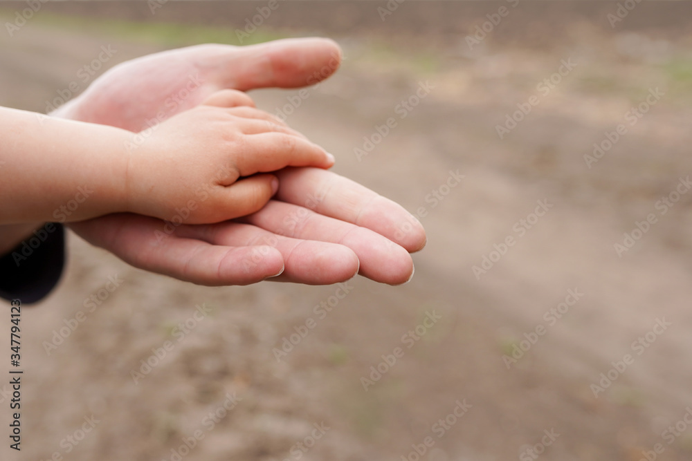a parent holds the hand of a small child a parent holds the hand of a small child