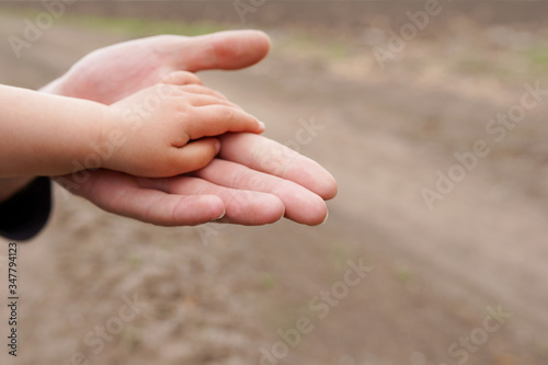 a parent holds the hand of a small child © Nastya