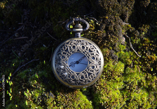 Старинные часы на изумрудно зеленом мху