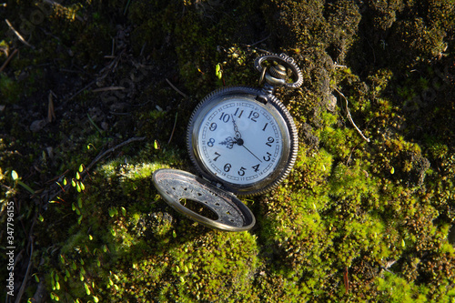 Vintage pocket watch on moss