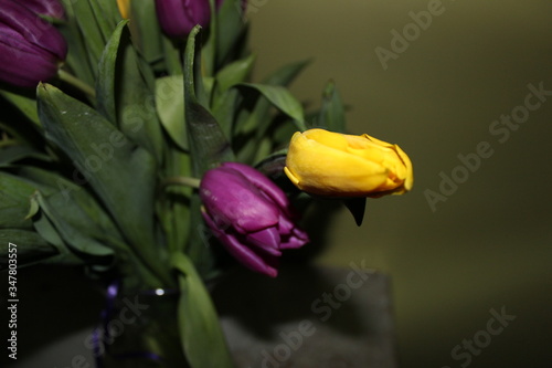 Fototapeta Naklejka Na Ścianę i Meble -  
beautiful bouquet of tulips