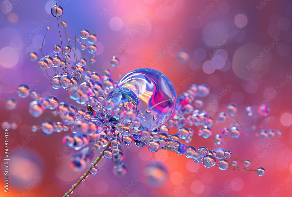 Flowers, water drops. Romantic floral red light color background