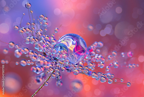 Canvas Print Flowers, water drops