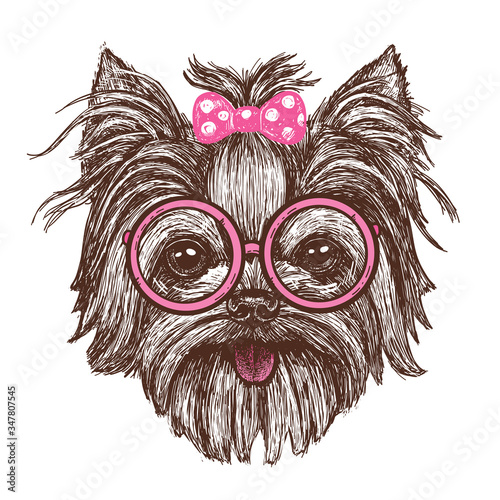 Vector illustration of a hand drawn funny fashionable Yorkshire terrier dog girl in glasses - stock vector