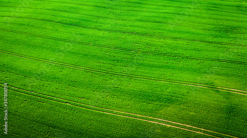 Aerial view of green field in spring, Poland, Europe