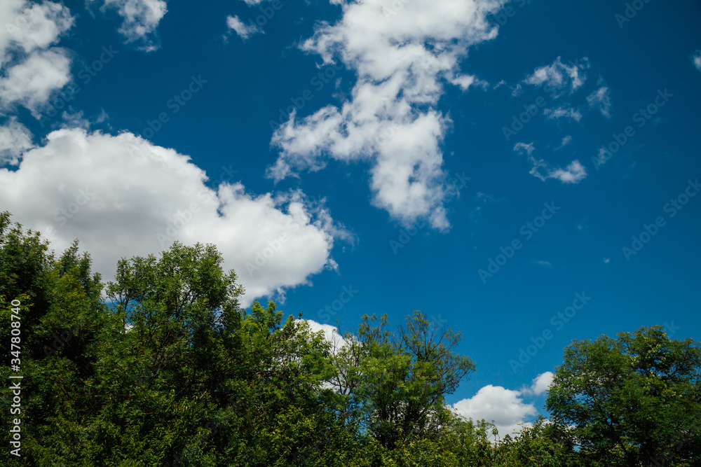 forest green blue sky and clouds its beautiful forest green blue sky and clouds its beautiful