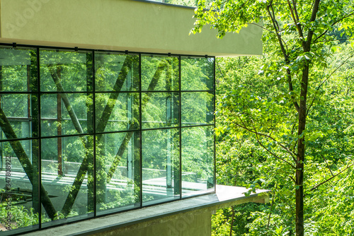 glass structure in the woods among the trees. outdoor recreation. glass house. glass in the interior.