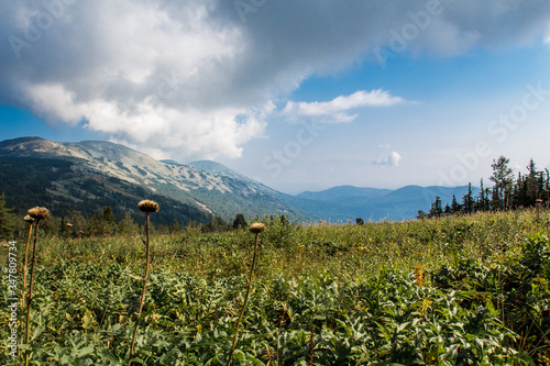 mountain landscape with flowers and clouds