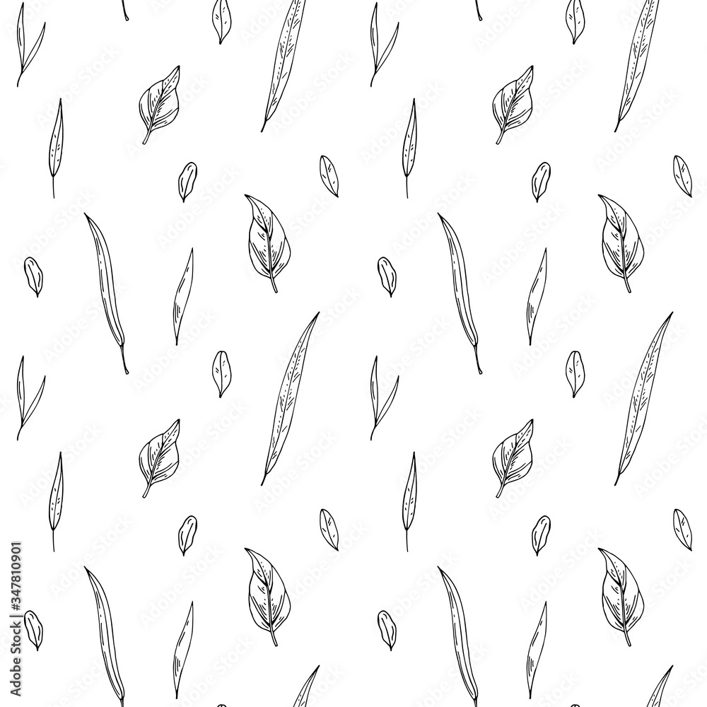 Fototapeta premium Hand drawn leaves and herbal seamless pattern. Vector illustration in sketch style