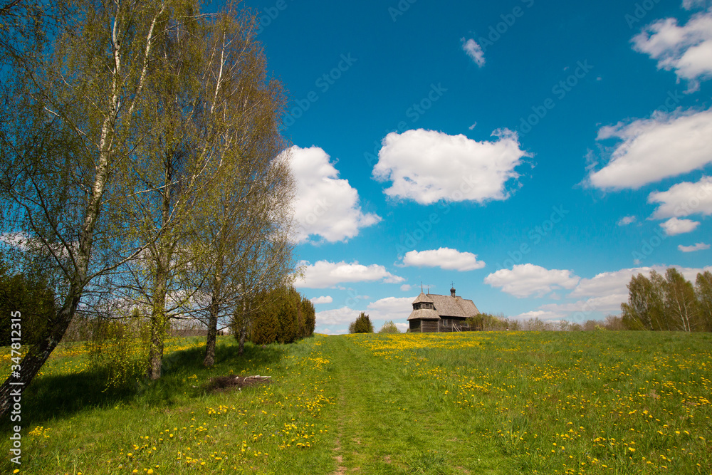 Pleasant sunny summer landscape: old blue sky and clouds, green grass, yellow dandelion flowers on a meadow and old historical Slavic Orthodox country church building . A happy idyllic scenery view