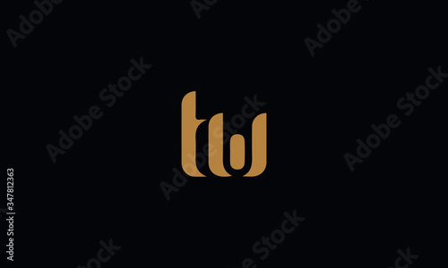 TW Letter Minimal Logo Design Template Vector illustration 