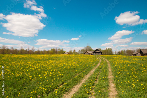Pleasant sunny summer landscape  old blue sky and clouds  green grass  yellow dandelion flowers on a meadow  old historical country building and country road. A happy idyllic scenery view