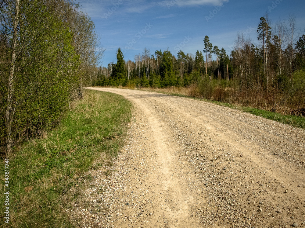 a simple country road, the first bright spring greenery, the first leaves in the trees a simple country road, the first bright spring greenery, the first leaves in the trees