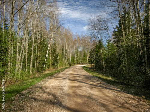 a simple country road  the first bright spring greenery  the first leaves in the trees