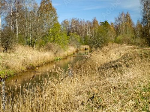 Fotografie the bank of a small wild river, the first spring greenery, reflections in the ri
