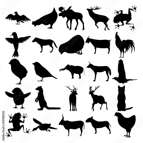 Set of 25 animals. Vulture, Moose, Deer, Tree Frog, Hummingbird, Wolf, Chick, Goat, Cock, Bird, Elephant, African dog, Raven, Pacific Fisher, Cat, Duck, Bull, Bull Terrier, Chicken. photo