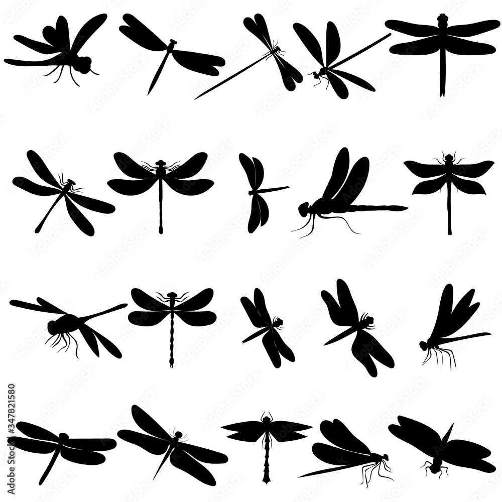 vector isolated dragonfly silhouettes set - obrazy, fototapety, plakaty 