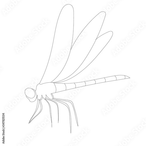 vector, isolated, contour, sketch, dragonfly on a white background