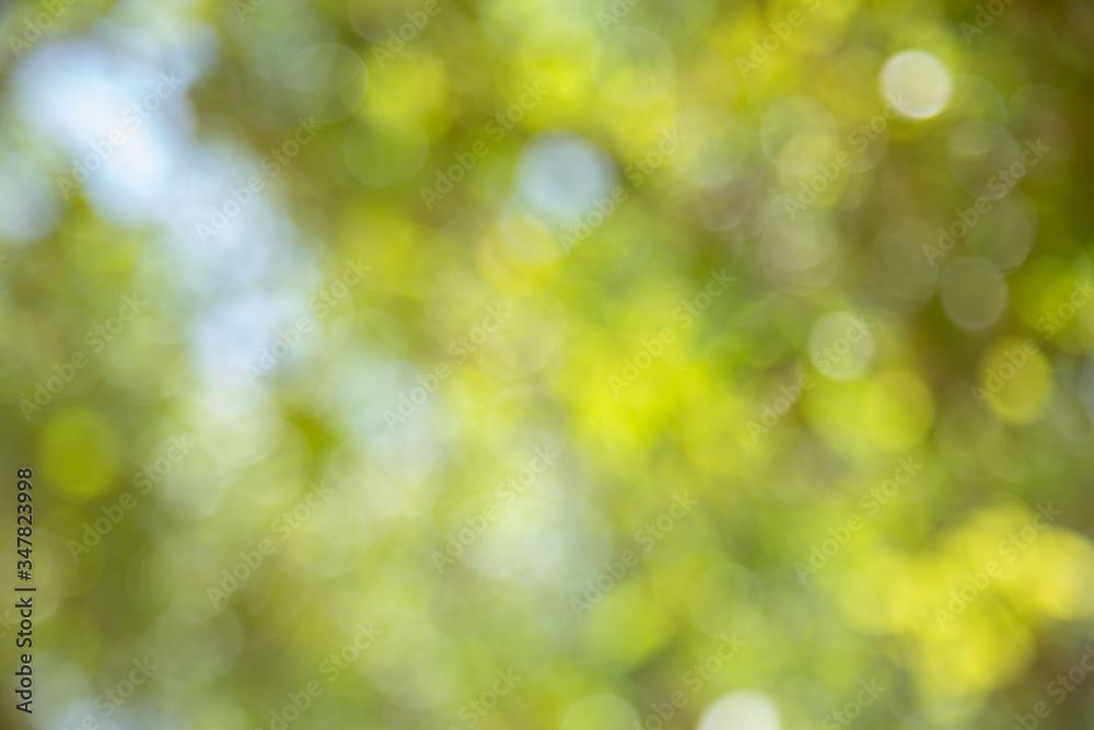 Abstract bokeh green blur light the background, Festive defocused lights, Happy valentine day love beautiful, Abstract bokeh green blur light the background, Festive defocused lights, Happy valentine day love beautiful,
