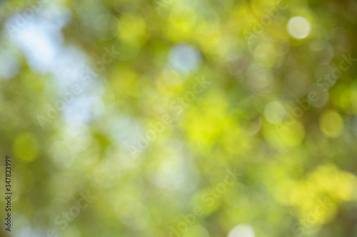 Abstract bokeh green blur light the background, Festive defocused lights, Happy valentine day love beautiful,