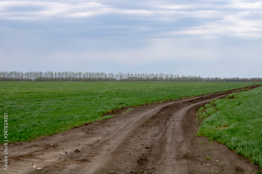 Spring field landscape under blue sky on a spring day Spring field landscape under blue sky on a spring day
