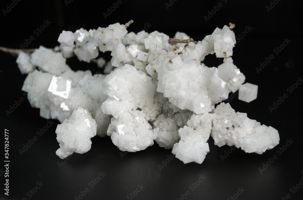 white crystals of salt
